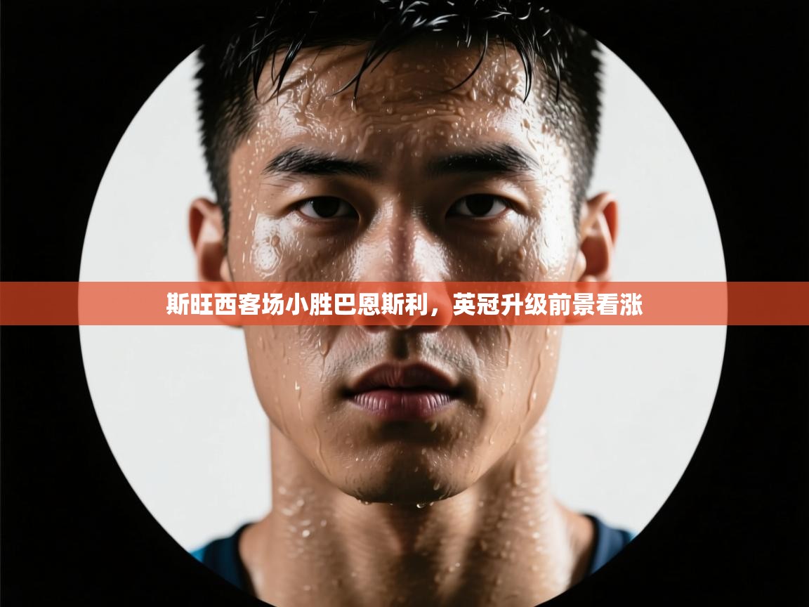 斯旺西客场小胜巴恩斯利，英冠升级前景看涨  第2张