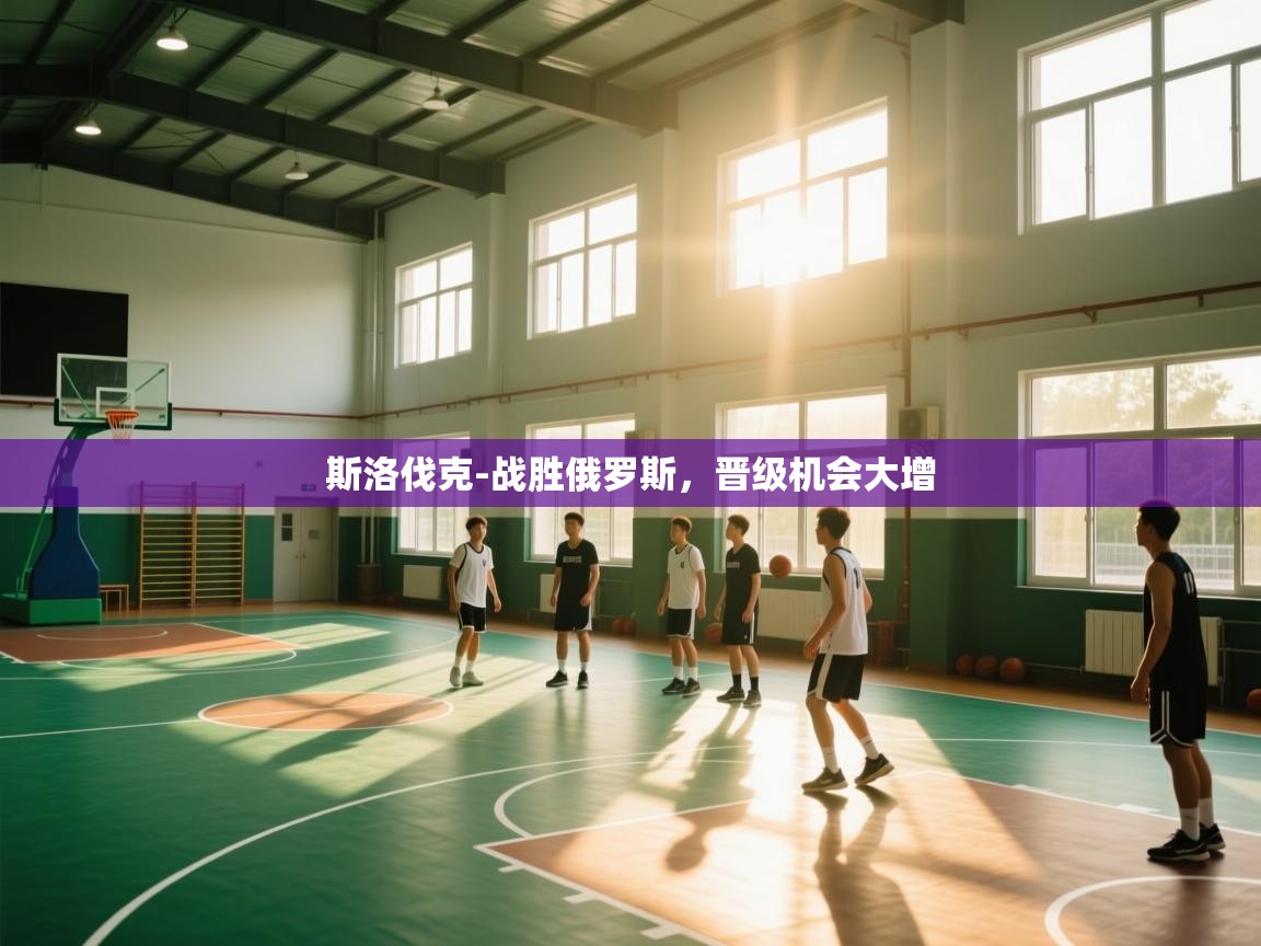 斯洛伐克-战胜俄罗斯，晋级机会大增  第2张